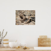 Arizona Western Diamondback Rattlesnake Poster (Küche)