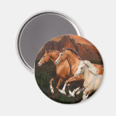 Arizona Wild Pferde Magnet (Vorderseite/Rückseite)