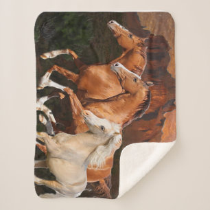 Arizona Wild Pferde Sherpadecke