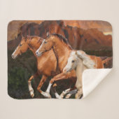 Arizona Wild Pferde Sherpadecke (Vorderseite (Horizontal))
