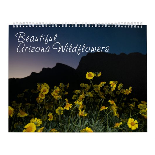 Arizona Wildblumen große zweiseitige Kalender (Titelbild)