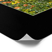 Arizona-Wildblumen Poster (Ecke)