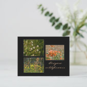 Arizona Wildblumen Postkarte (Stehend Vorderseite)