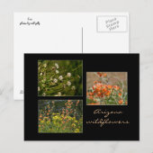 Arizona Wildblumen Postkarte (Vorne/Hinten)