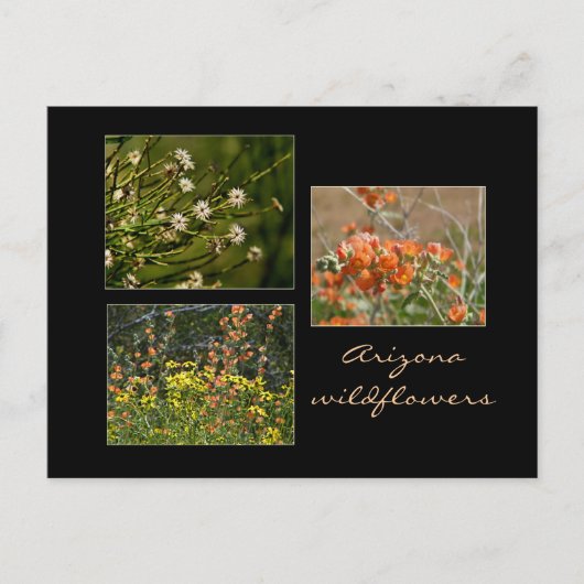 Arizona Wildblumen Postkarte (Vorderseite)