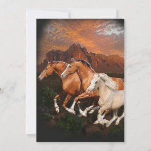 Arizona Wildpferde Feiertagskarte