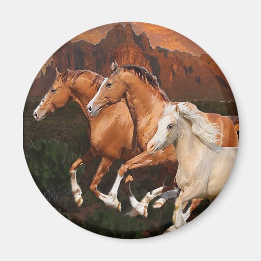 Arizona Wildpferde Magnet (Vorne)