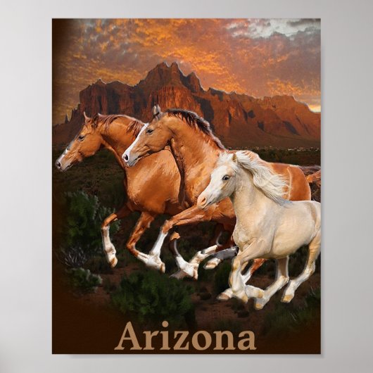 Arizona-Wildpferde Poster (Vorne)