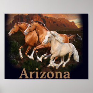 Arizona-Wildpferde Poster