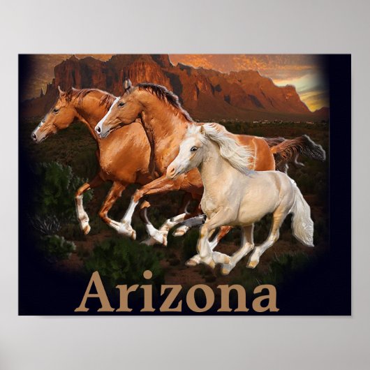 Arizona-Wildpferde Poster (Vorne)