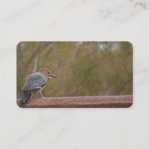 Arizona Woodpecker Business Cards Visitenkarte