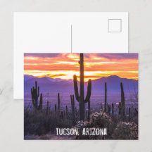 Arizona Wüste Cactus Sunset Nature Foto Souvenir