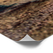 Arizona Wüste Ocotillos in Bloom Poster (Ecke)