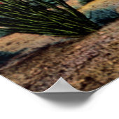 Arizona Wüste Ocotillos in Bloom Poster (Ecke)