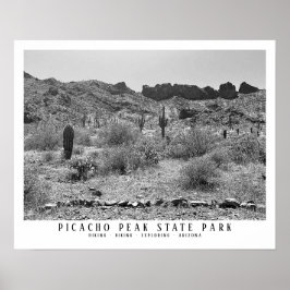 Arizona Wüste Picacho Staat Parco Civico-Ciani Poster