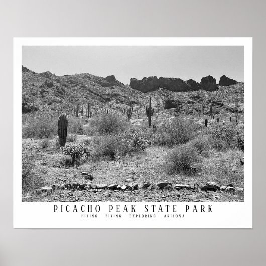 Arizona Wüste Picacho Staat Parco Civico-Ciani Poster (Vorne)