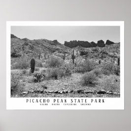 Arizona Wüste Picacho Staat Park/Garten: Poster
