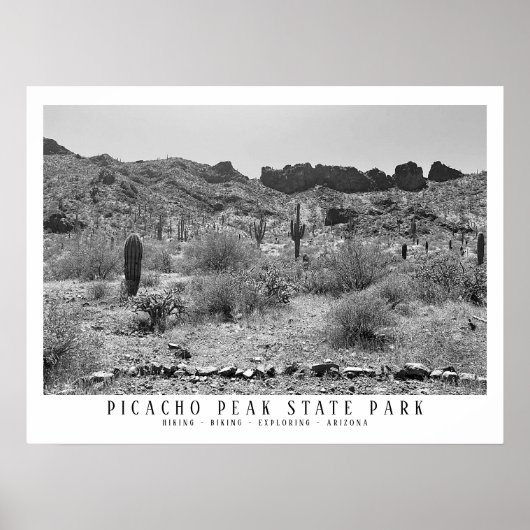 Arizona Wüste Picacho Staat Park/Garten: Poster (Vorne)