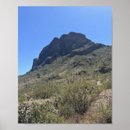 Arizona Wüste Picacho Staat Park Poster