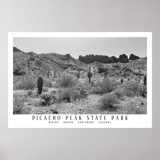 Arizona Wüste Picacho Staat Park Poster (Vorne)