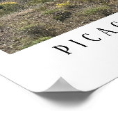 Arizona Wüste Picacho Staat Park Poster (Ecke)