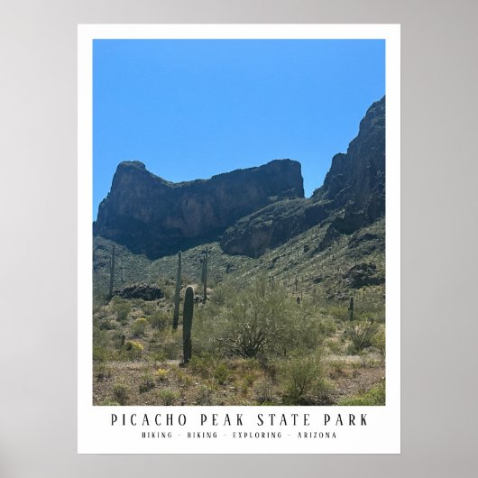 Arizona Wüste Picacho Staat Park Poster (Vorne)
