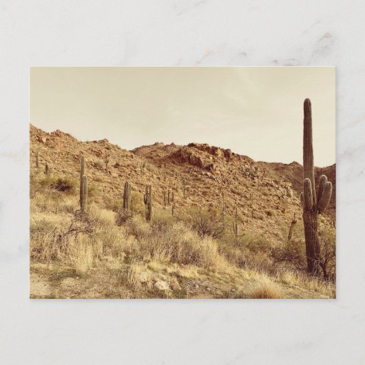 Arizona Wüste Postkarte (Vorderseite)