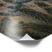 Arizona Wüste Sonnenuntergang Kaktus Inspiration S Fotodruck (Ecke)