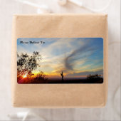 Arizona Wüste Sonnenuntergang mit Saguaro Cactus / (Insitu)