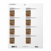 Arizona Wüste View Wandern neben dem Wasser (Vorne)