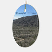 Arizona-Wüsten-Schönheit Keramikornament (Links)