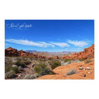 Arizona-Wüsten-Szene Fotodruck