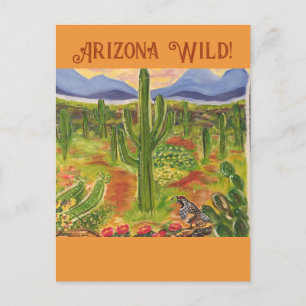 Arizona Wüstenkunst Postkarte