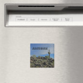 Arizona Wüstenlandschaft Foto Saguaro Cactus Magnet (In Situ (Geschirrspüler))