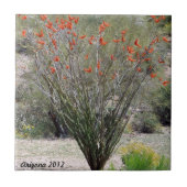 ArizonaOcotillo Fliese (Vorderseite)