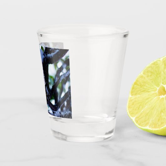 Arkane Winter I Schnapsglas (Rechts)