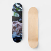 Arkane Winter I Skateboard (Vorderseite)
