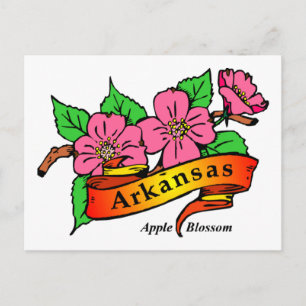Arkansas Apple Blossom Postkarte