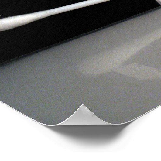 Arktis Playground Poster (Ecke)