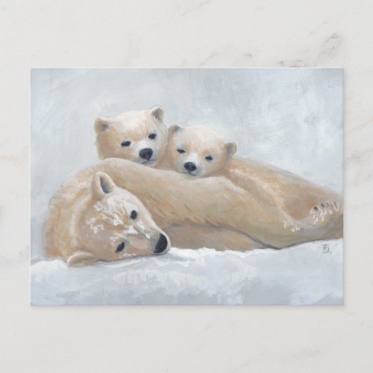 Arktis Postkarte (Vorderseite)