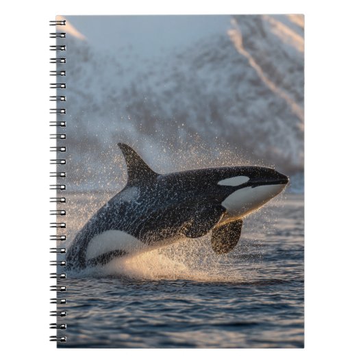 Arktis Power Orca Notizblock (Vorderseite)