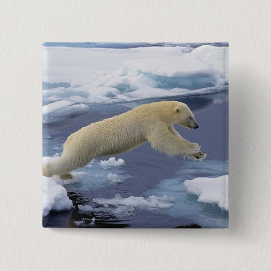 Arktis, Svalbard, Eisbär reckend Button (Vorderseite)