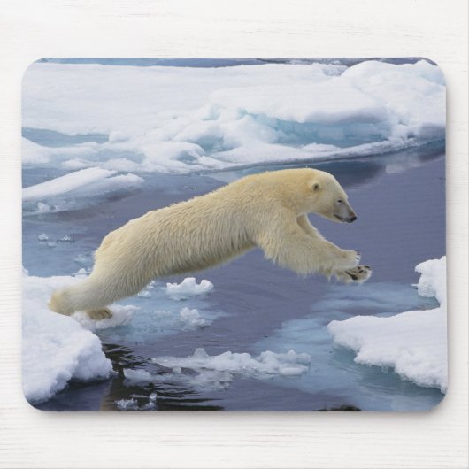 Arktis, Svalbard, Eisbär reckend Mousepad (Vorne)