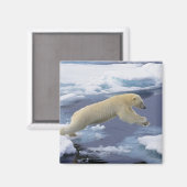 Arktis, Svalbard, Polar Bär, der sich ausdehnt Magnet (Vorderseite/Rückseite)