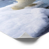 Arktis, Svalbard, Polar-Bär, der sich ausdehnt und Poster (Ecke)