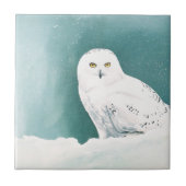 Arktische Aquamarine Schneeauwl Fliese (Vorderseite)