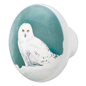 Arktische Aquamarine Schneeauwl Keramikknauf (Rechts)