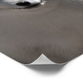 Arktische Buddy Poster (Ecke)