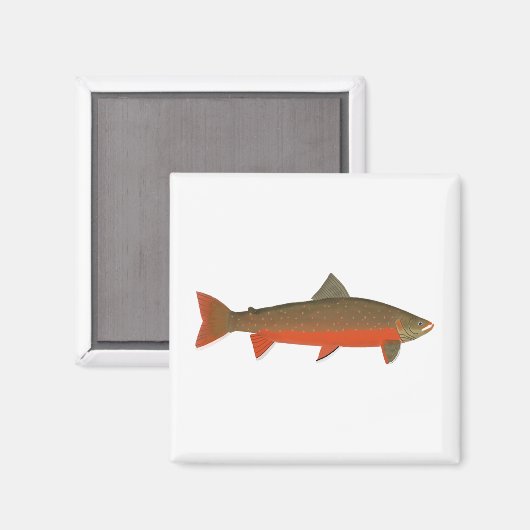 Arktische Char Magnet (Vorderseite/Rückseite)