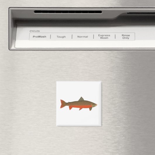 Arktische Char Magnet (In Situ (Geschirrspüler))